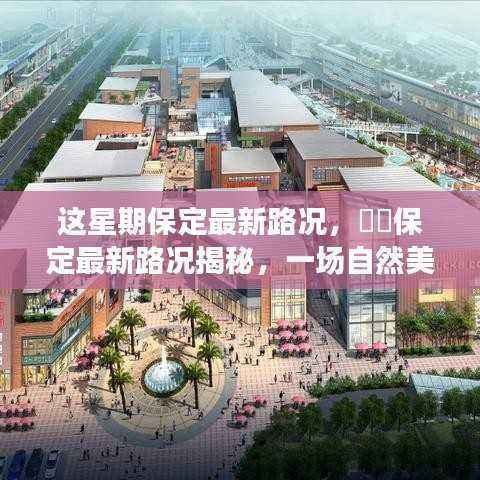 保定最新路况揭秘,探寻自然美景之旅,启程寻找宁静港湾