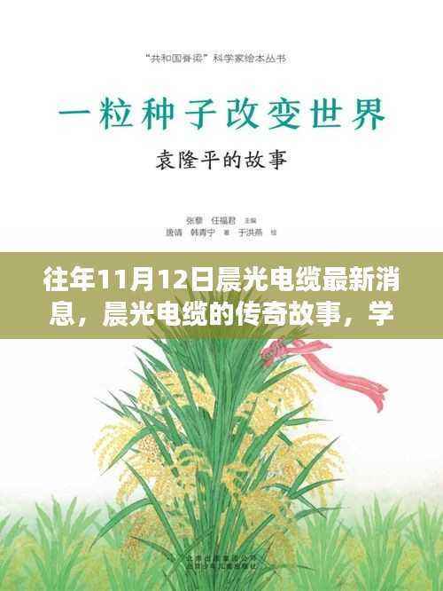 晨光电缆传奇故事揭秘，变化的力量与自信的魔法最新消息回顾
