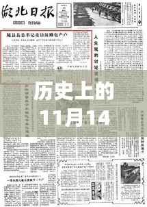 小红书带你探寻历史上的社交在线，揭秘难忘瞬间，重温11月14日的崭新篇章