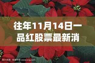 花开无言 第6页