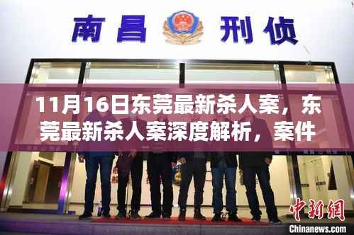 东莞最新杀人案深度解析，背景与三大要点探讨