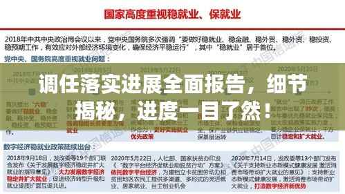 调任落实进展全面报告，细节揭秘，进度一目了然！