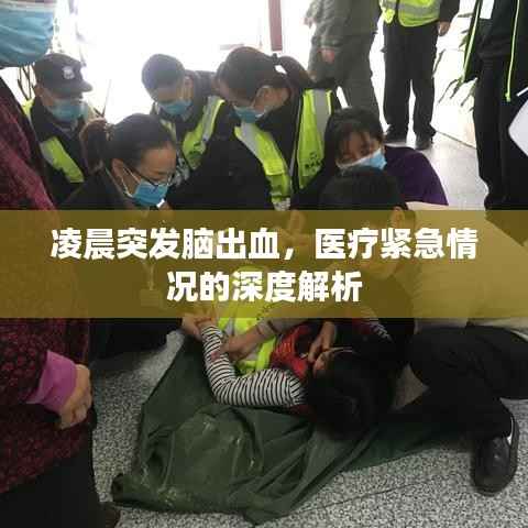 凌晨突发脑出血,医疗紧急情况的深度解析