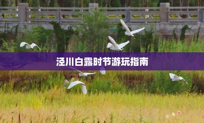 泾川白露时节游玩指南