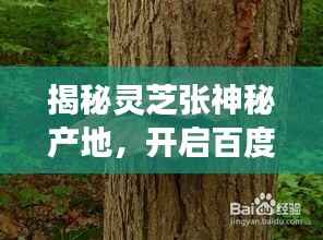 联系我们 第152页