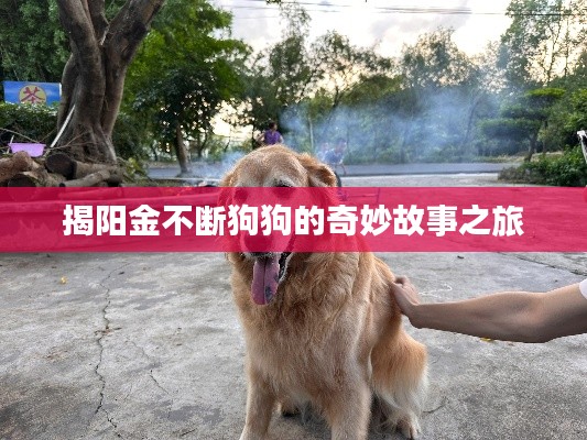 联系我们 第111页