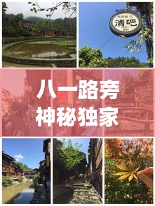 八一路旁神秘独家小院，探秘独特风情，百度热推好去处！