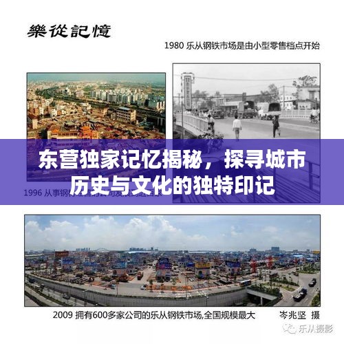 东营独家记忆揭秘,探寻城市历史与文化的独特印记